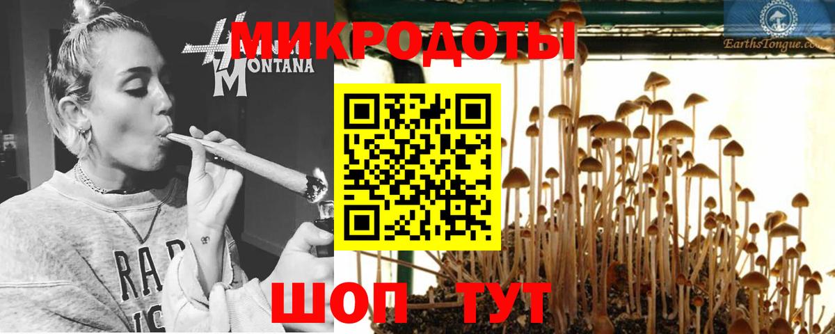 Галлюциногенные грибы Magic Shrooms Знаменск
