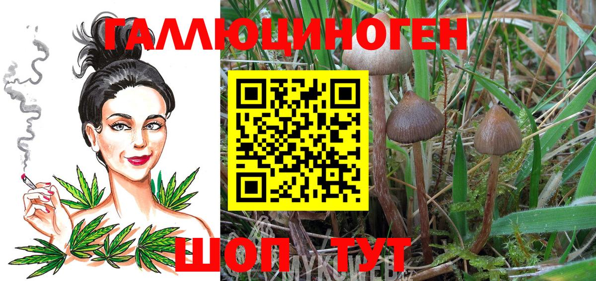 Псилоцибиновые грибы Cubensis  Вход с VPN  даркнет сайт  Знаменск 